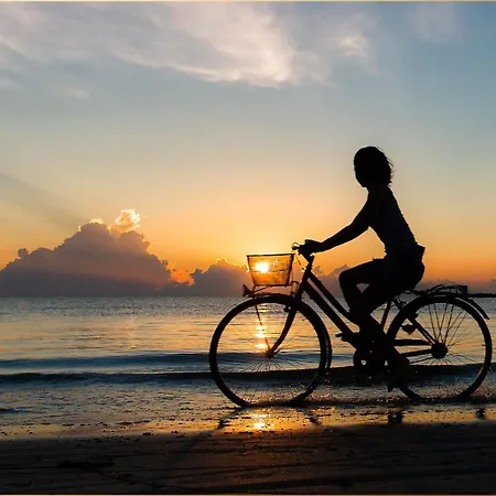 Tema 5 Appartement *